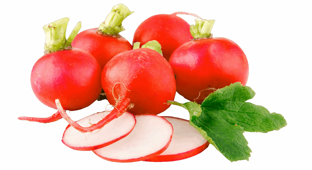 Ředkvičky