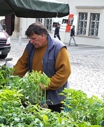 Jan Pavliš