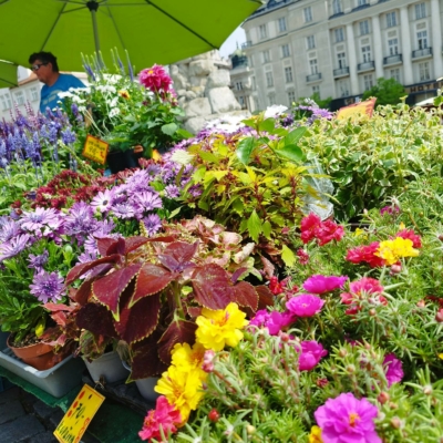 Petra Chudáčková Kosíková