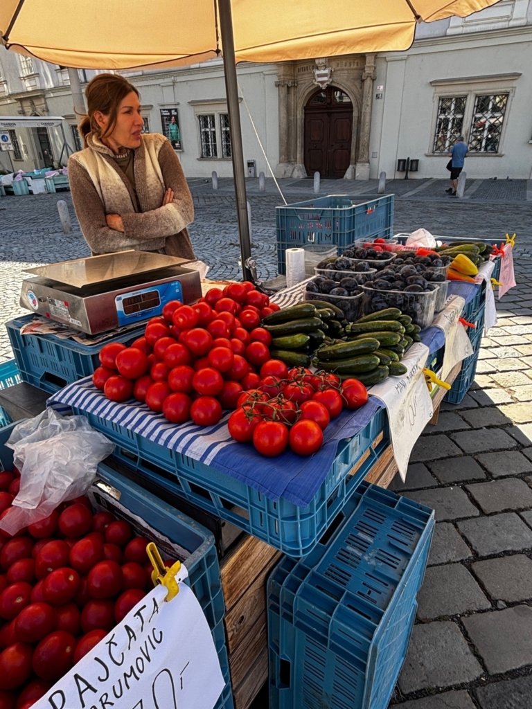 Pavlína Doležalová