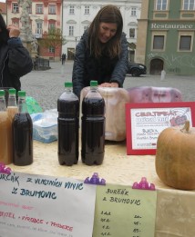 Vlasta Doležalová