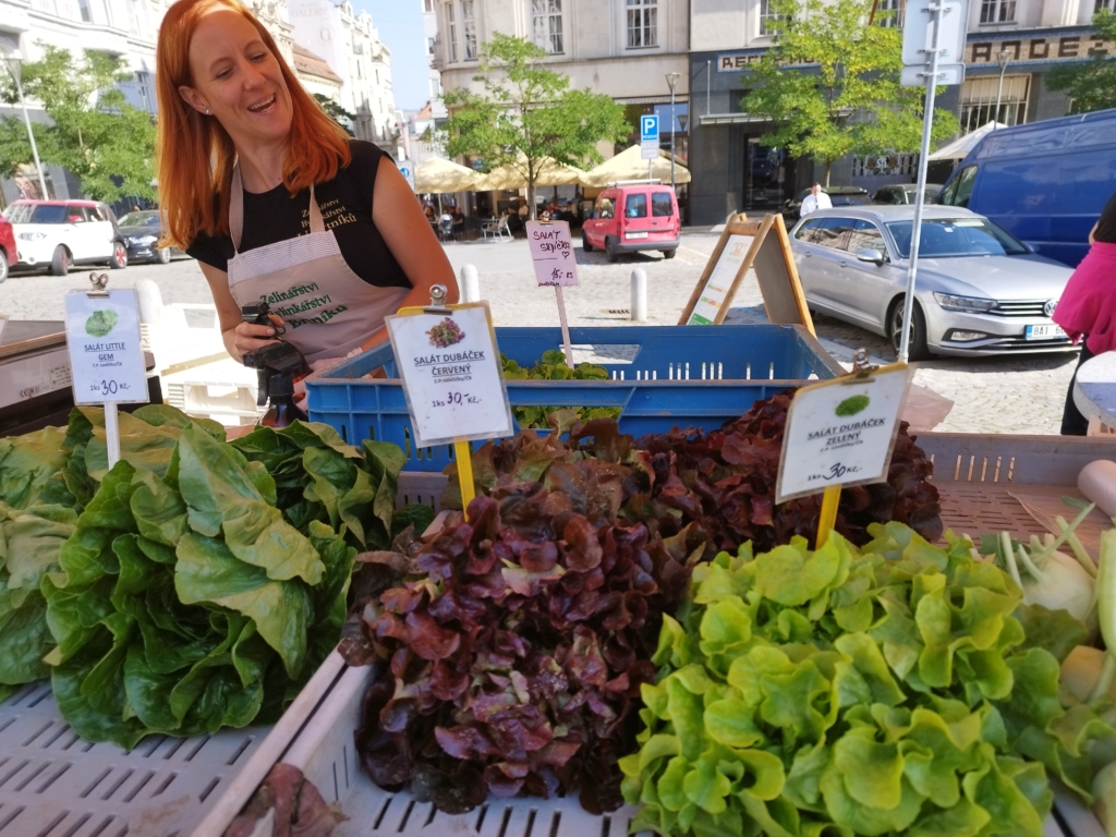 Kateřina Kalvodová
