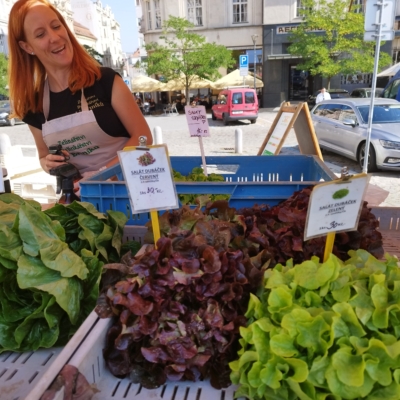 Kateřina Kalvodová