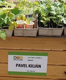 Ing. Věra Kiliánová