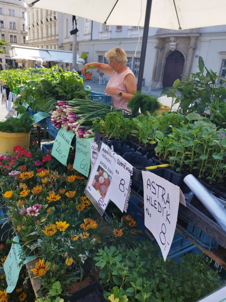 Ing. Vlastimil Sedláček