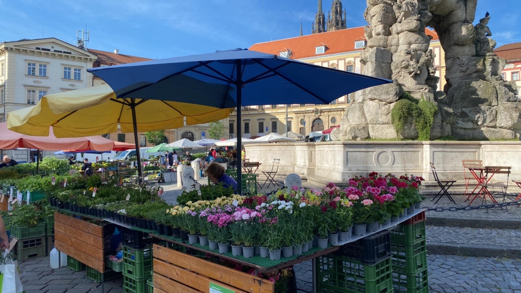 Zdeňka Šplíchalová