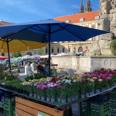 Zdeňka Šplíchalová