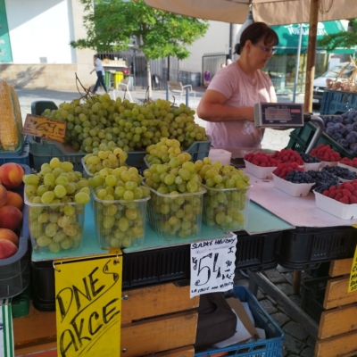 Hanna Jurijivna Dinesová Aleksová