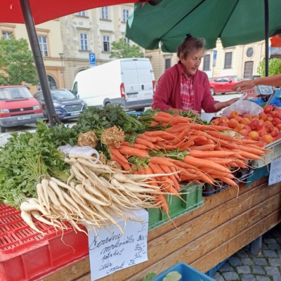 Františka Miklíková