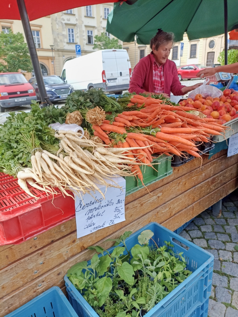 Františka Miklíková